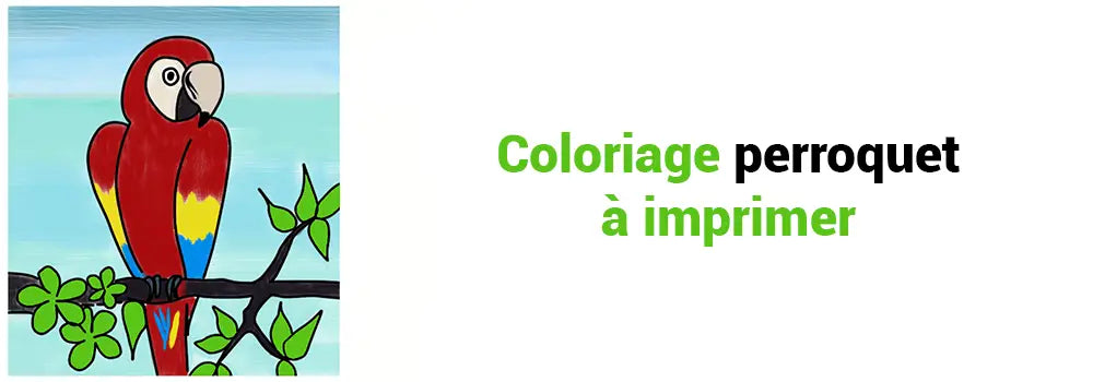 Perroquet à imprimer