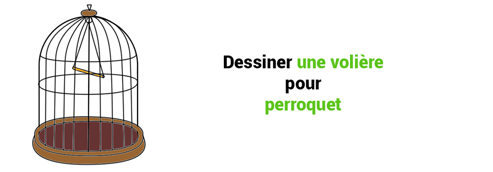 Dessiner une volière perroquet