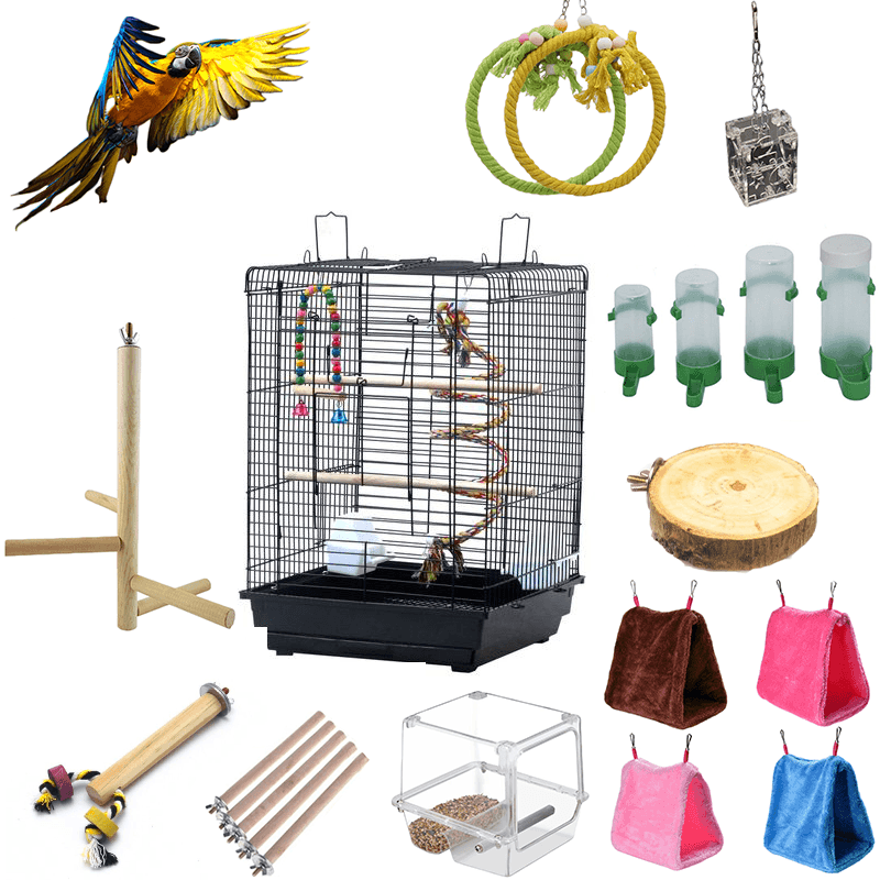 Perroquet heureux : cages et accessoires essentiels
