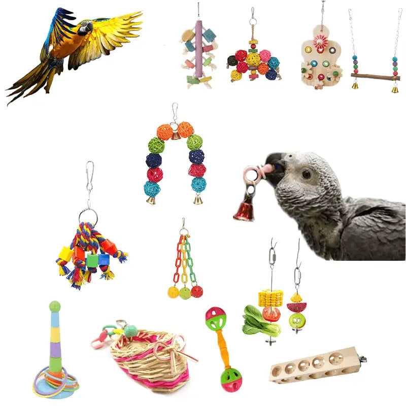 Egayez la vie de votre perroquet avec nos jouets Univers du perroquet