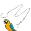 Chaîne d’anneau en acier inoxydable pour perroquet