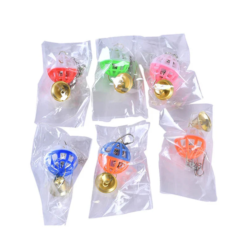 Jouets de balançoire colorés pour perroquet