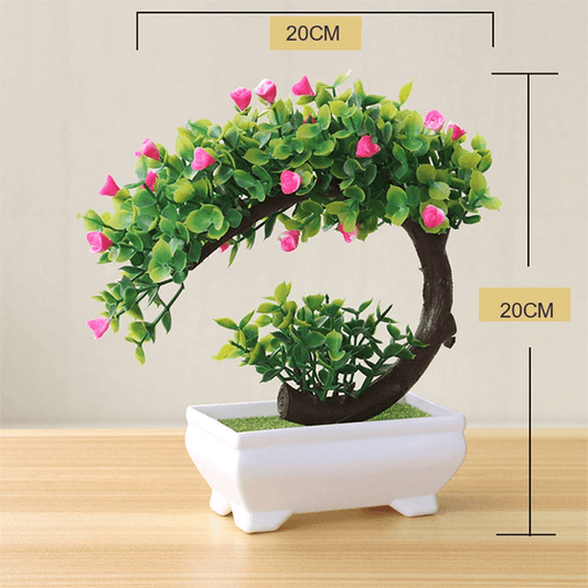 Perroquet plante fleur bec de perroquet