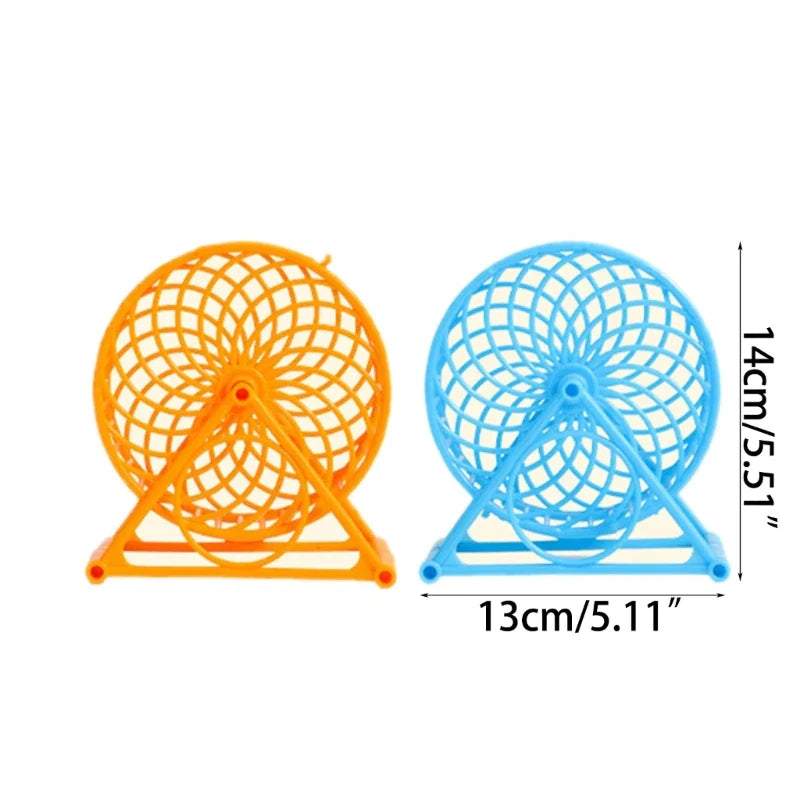 Roue course pour perroquets