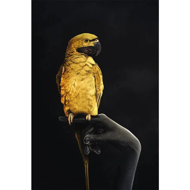 Tableau peinture perroquet