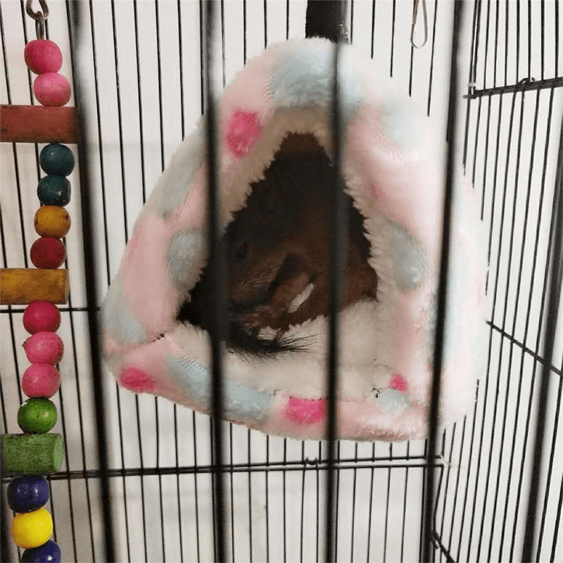 Cage de transport montana pour perroquet