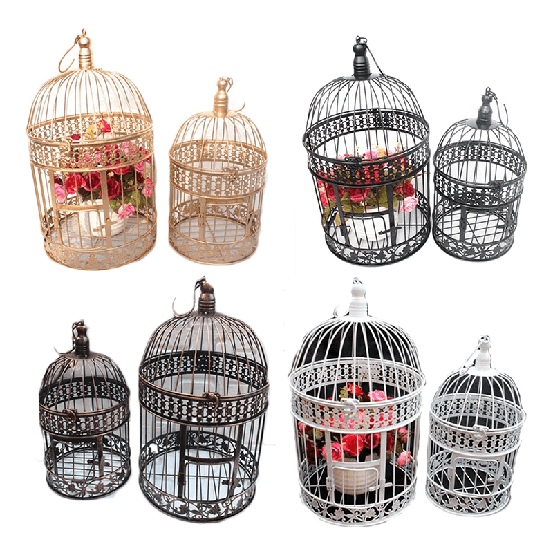 Cage de transport pour perroquet d’occasion