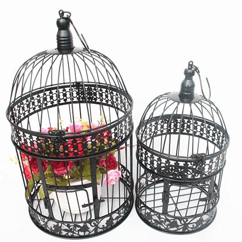 Cage de transport pour perroquet d’occasion