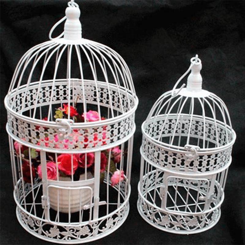 Cage de transport pour perroquet d’occasion