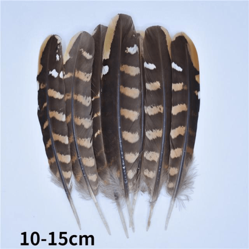 Décoration plume perroquet