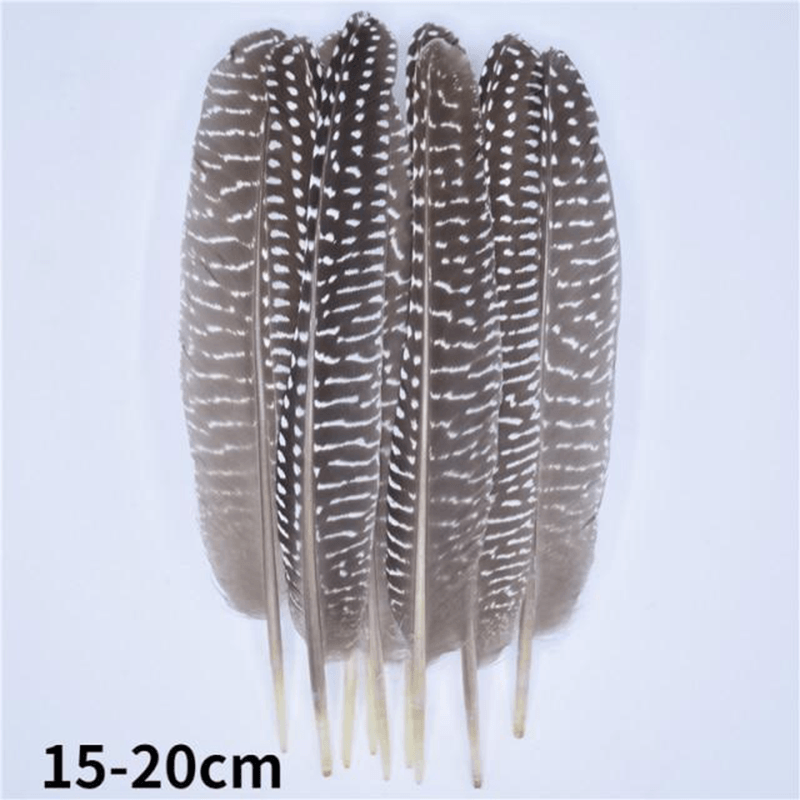 Décoration plume perroquet