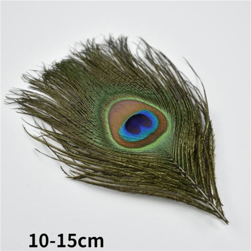 Décoration plume perroquet