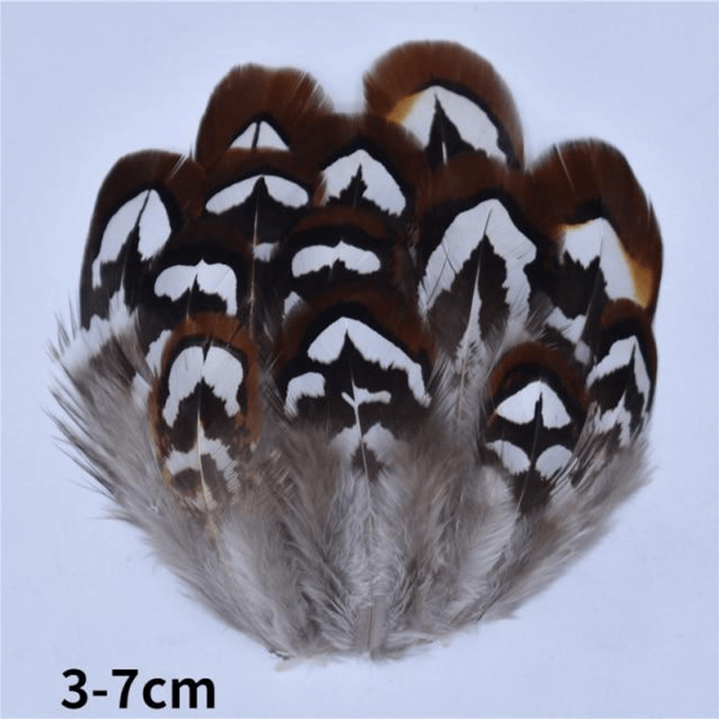 Décoration plume perroquet