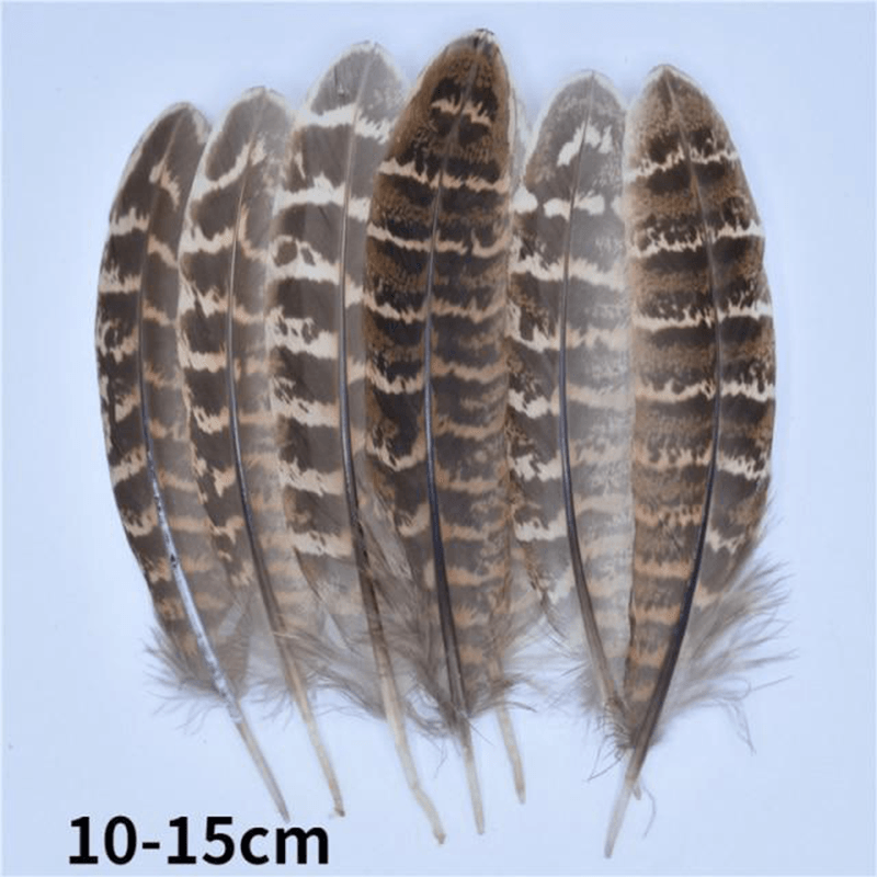 Décoration plume perroquet