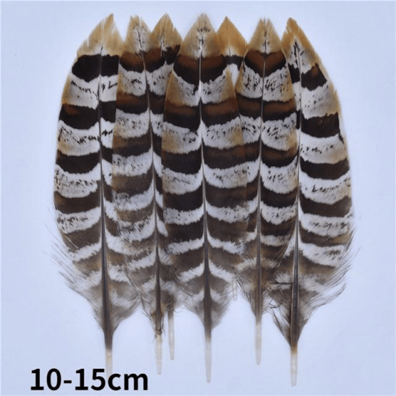 Décoration plume perroquet