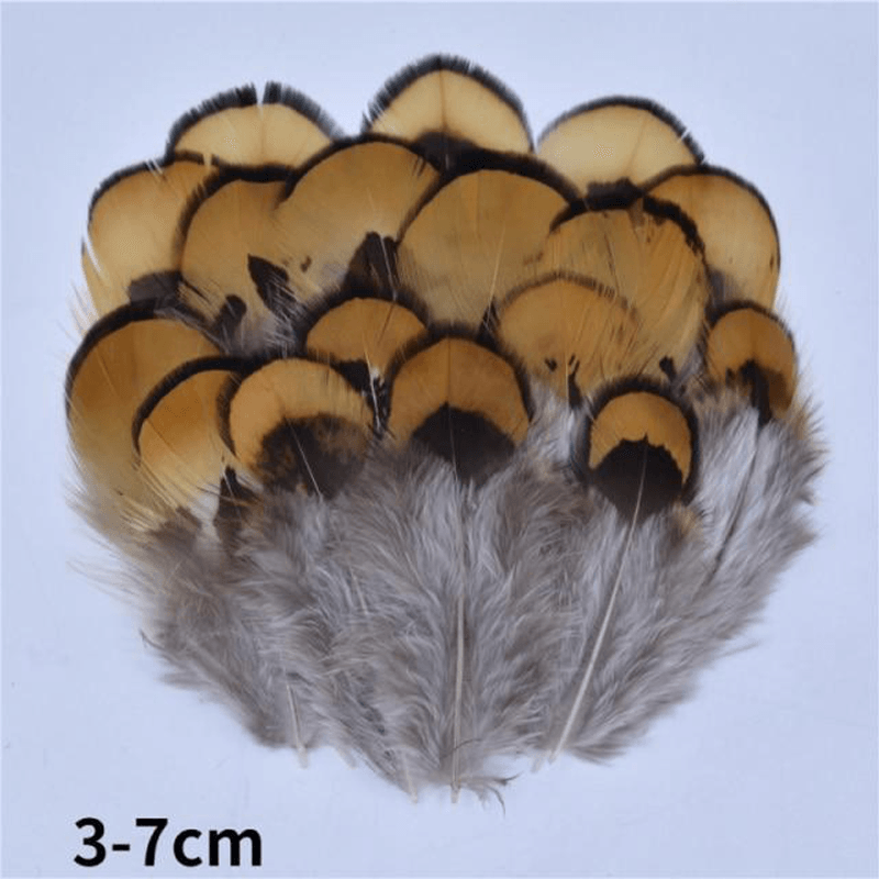 Décoration plume perroquet