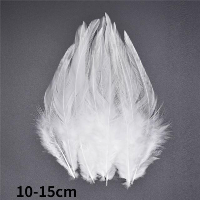 Décoration plume perroquet