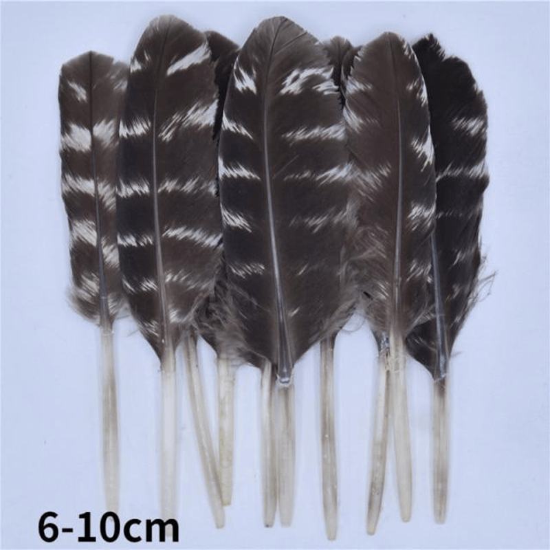 Décoration plume perroquet