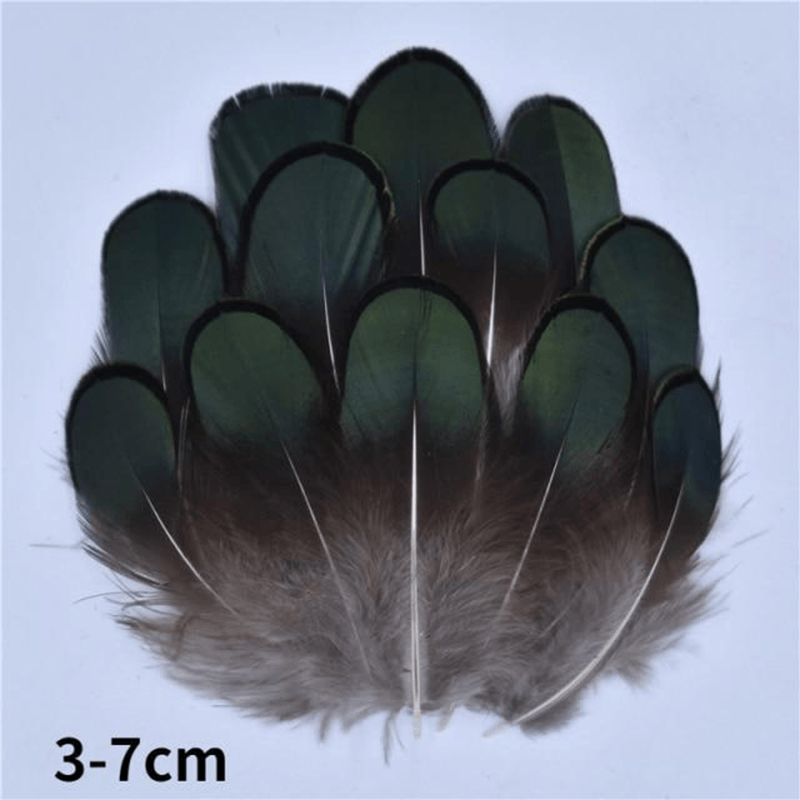 Décoration plume perroquet