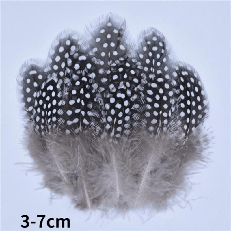 Décoration plume perroquet