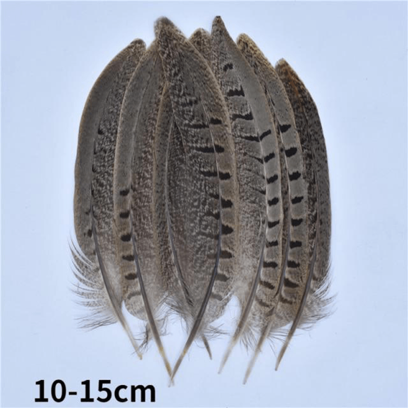 Décoration plume perroquet