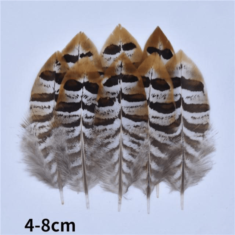 Décoration plume perroquet