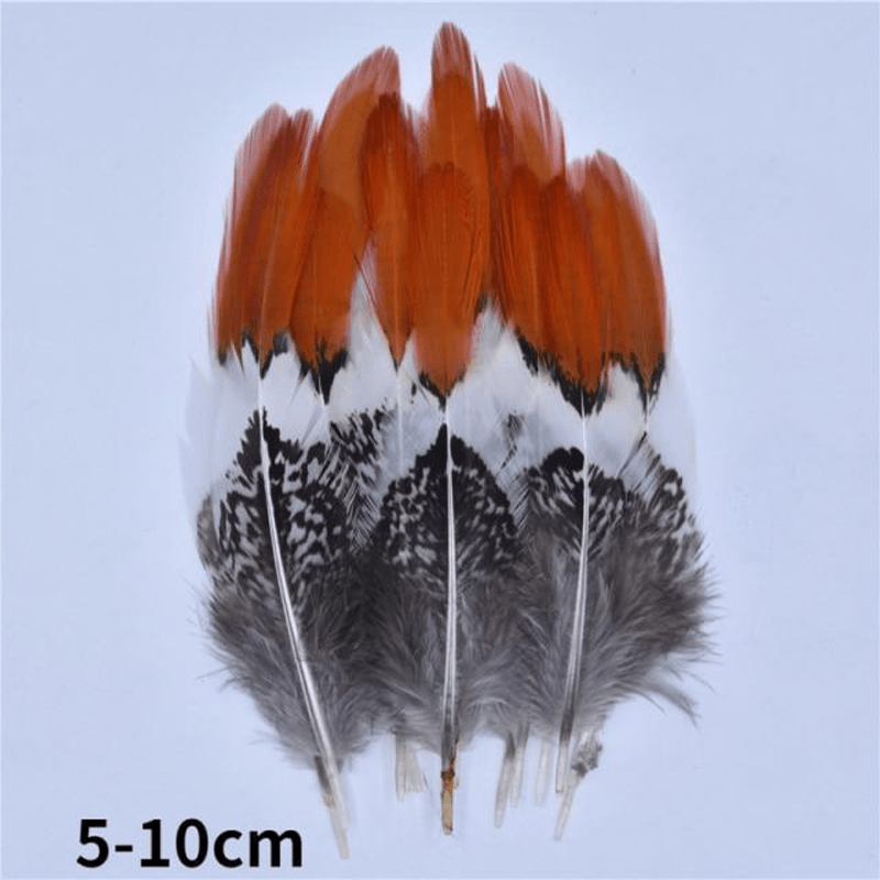 Décoration plume perroquet
