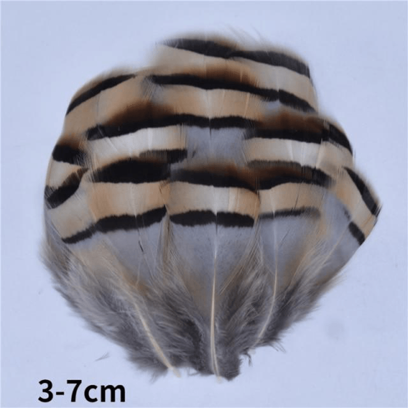 Décoration plume perroquet