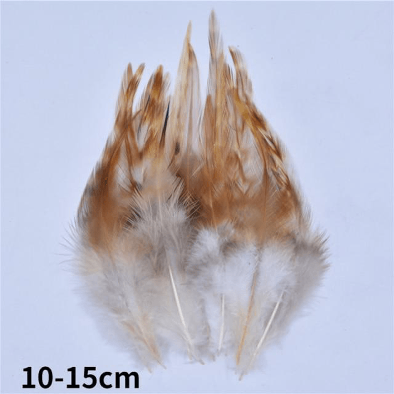 Décoration plume perroquet