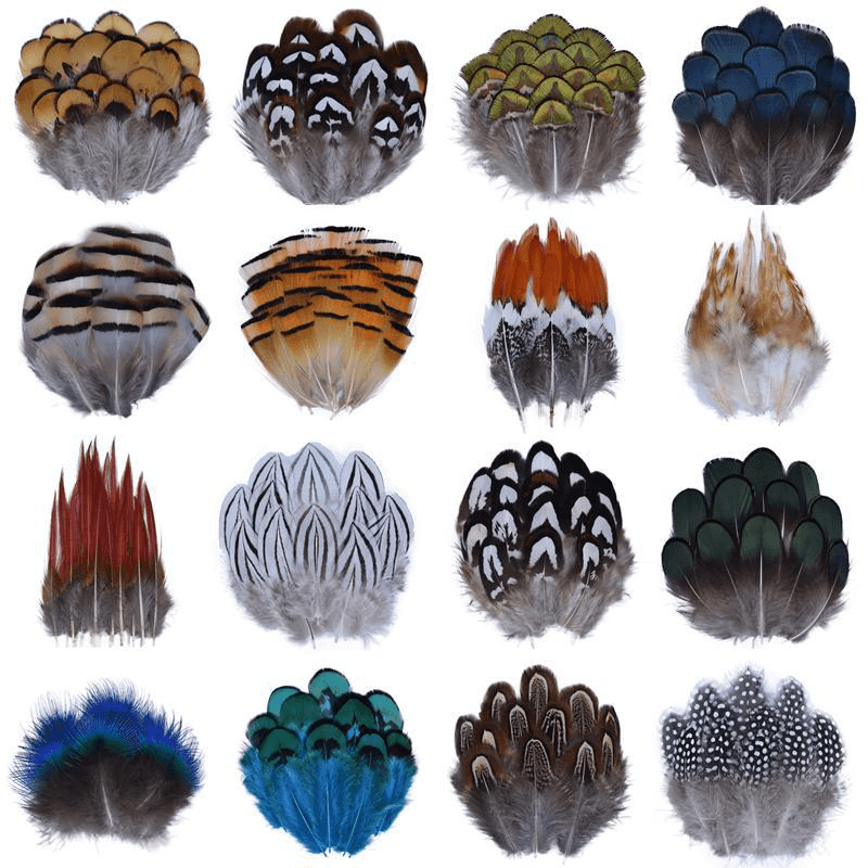 Décoration plume perroquet