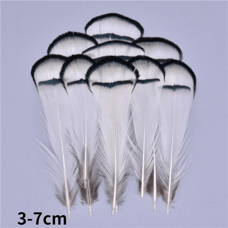 Décoration plume perroquet