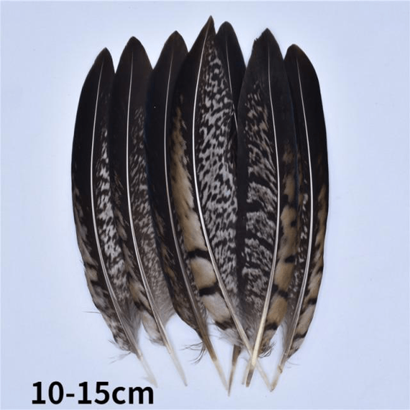 Décoration plume perroquet