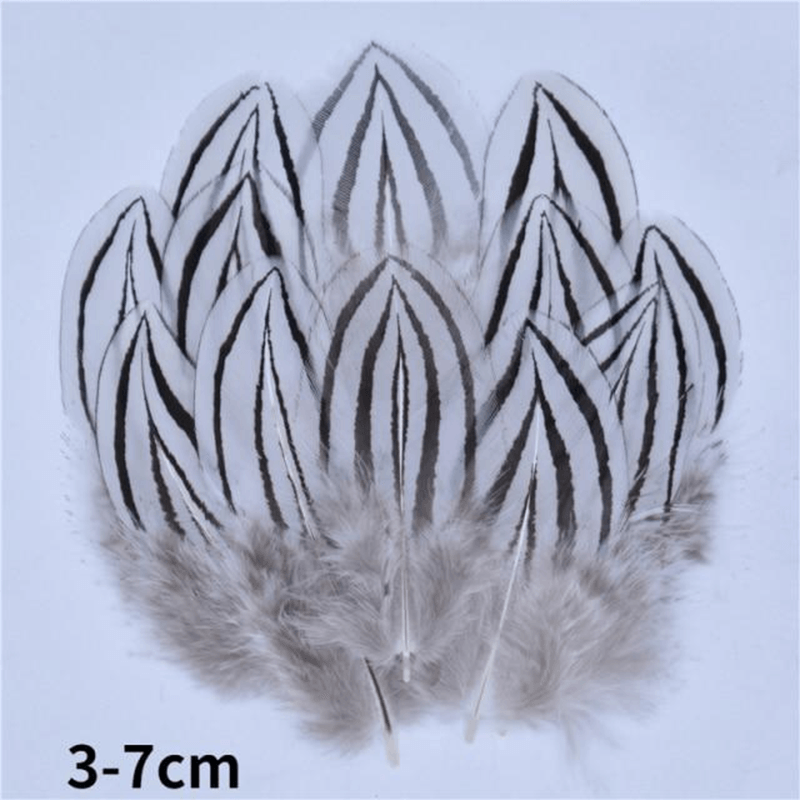 Décoration plume perroquet