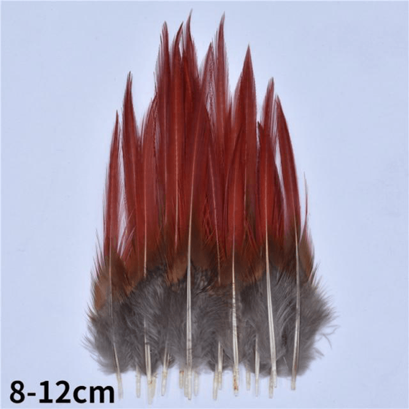 Décoration plume perroquet