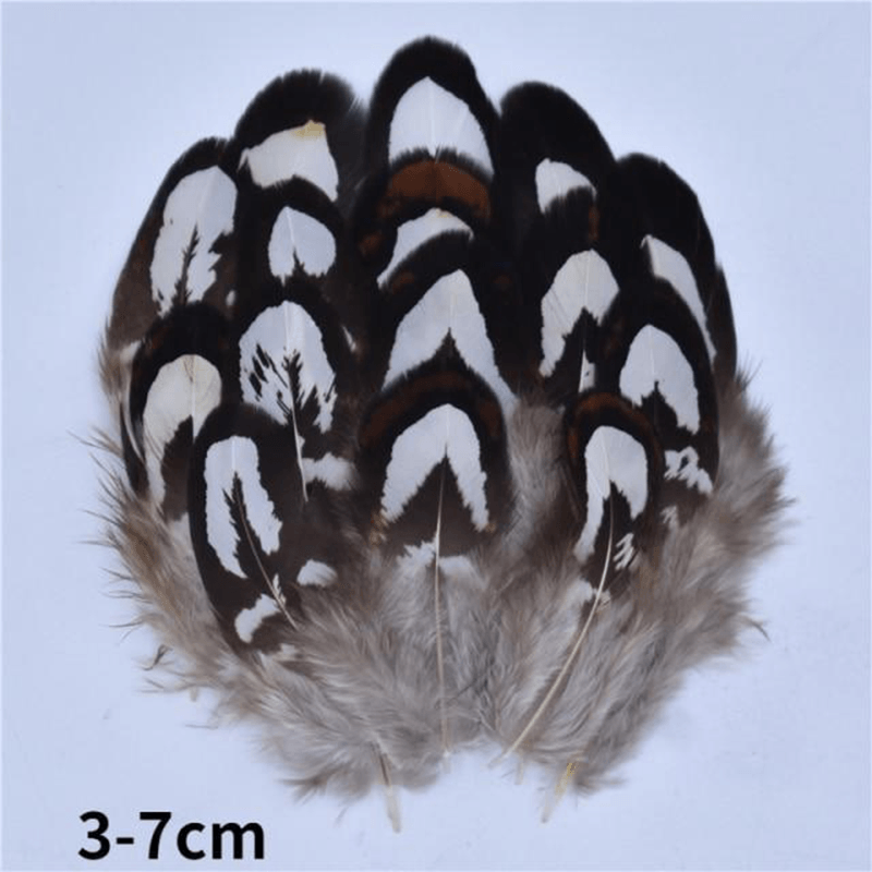 Décoration plume perroquet