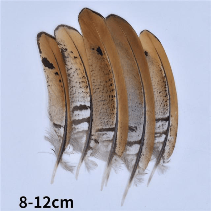 Décoration plume perroquet