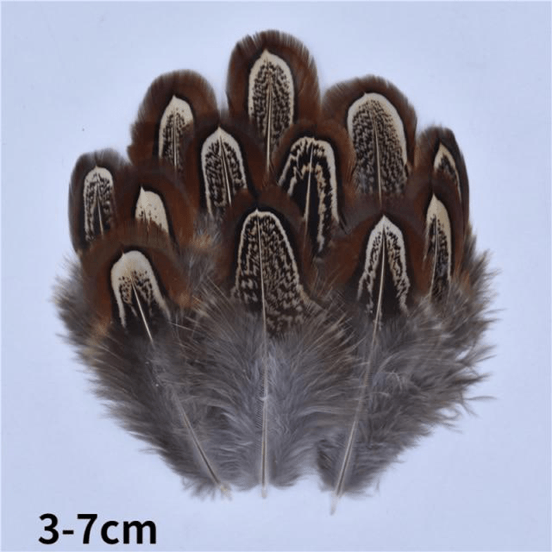 Décoration plume perroquet