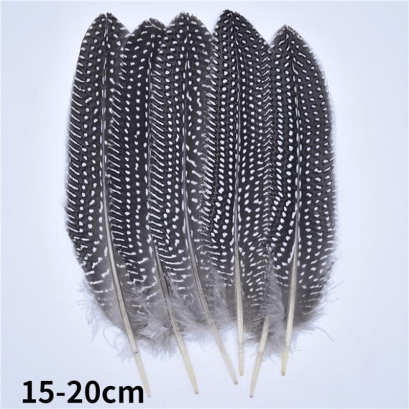 Décoration plume perroquet