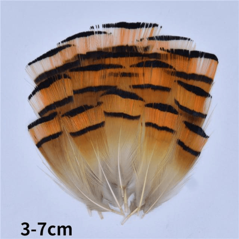 Décoration plume perroquet