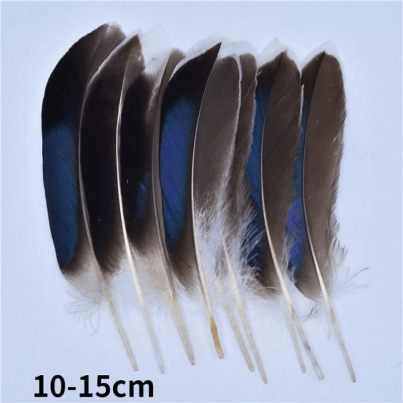 Décoration plume perroquet