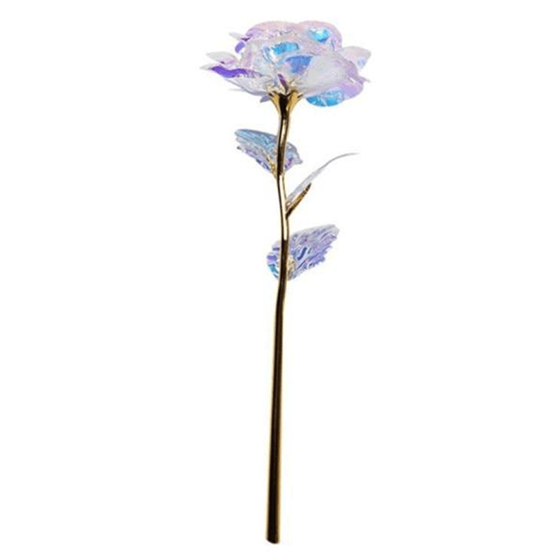 Feuilles de tulipes perroquet