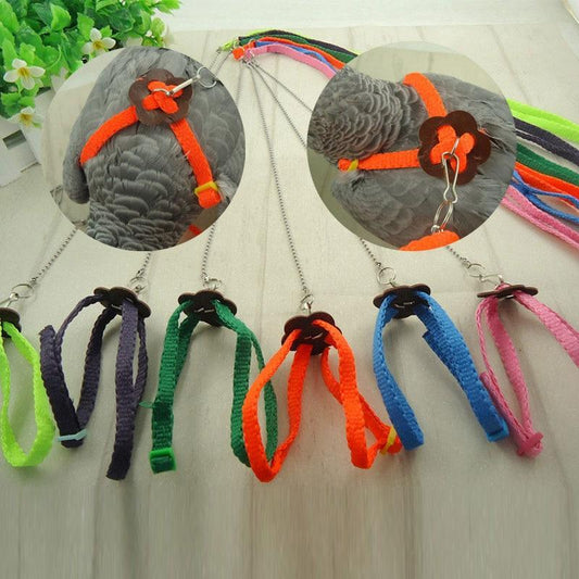 Harnais aviator petit pour perroquet