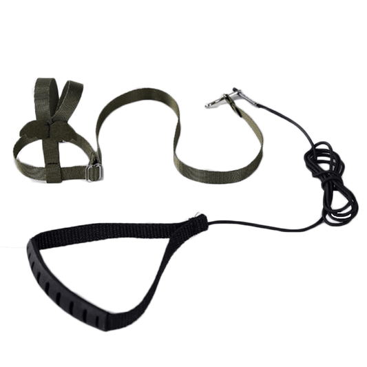 Harnais aviator pour perroquet