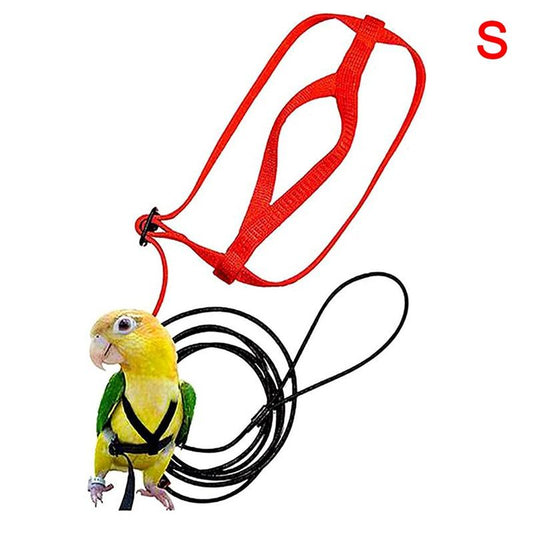 Harnais de perroquet