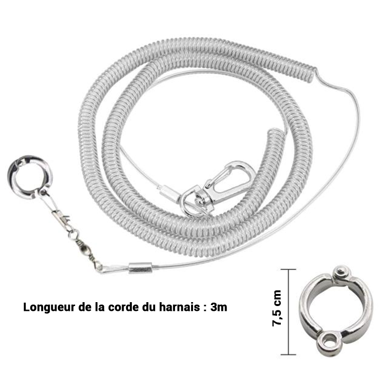 Harnais perroquet ara