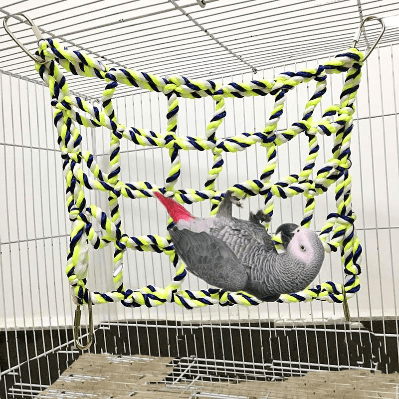 Jouet perroquet corde bois