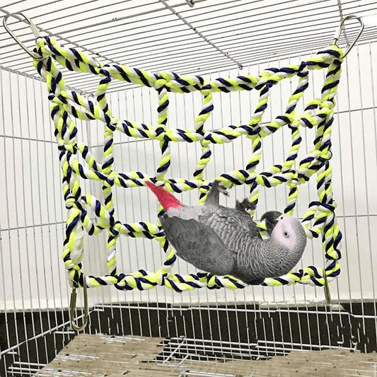 Jouet perroquet corde bois