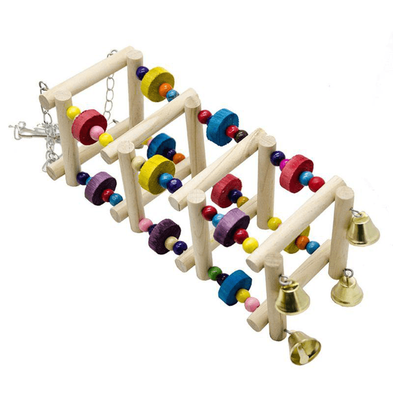 Jouet perroquet échelle bois