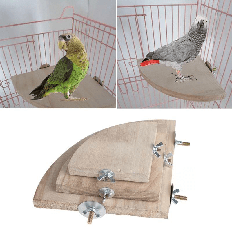 Jouets en bois naturel perroquet