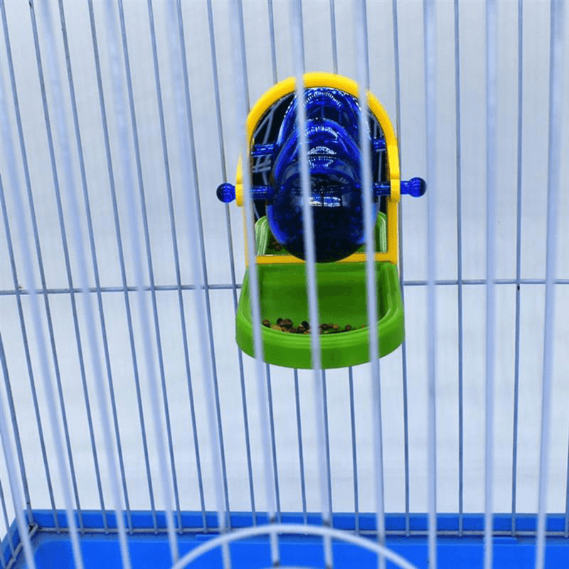 Mangeoire à oiseaux perroquet